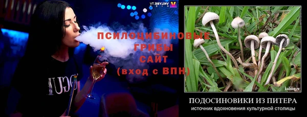 сатива Мегион