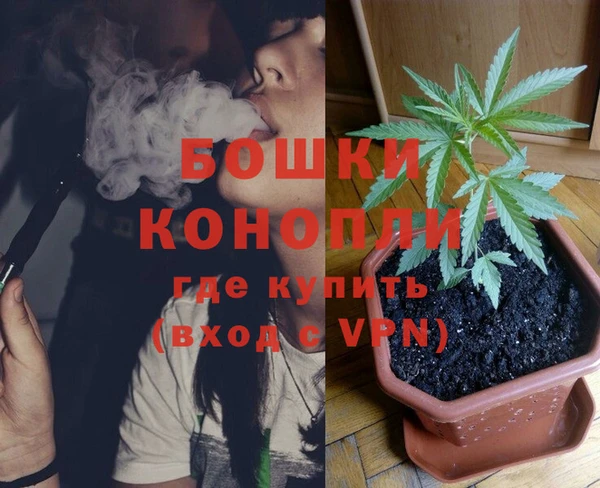 сатива Мегион