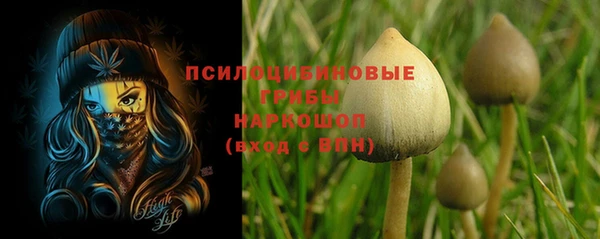 эйфоретик Магадан