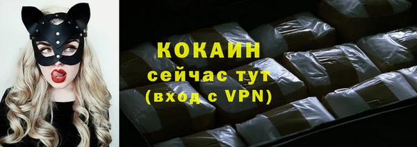 сатива Мегион