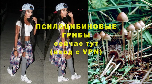 эйфоретик Магадан