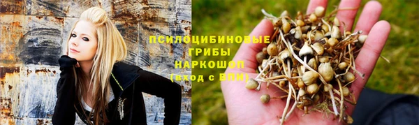 эйфоретик Магадан