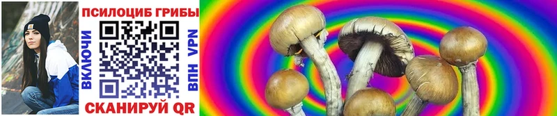 blacksprut маркетплейс  Приморско-Ахтарск  Псилоцибиновые грибы GOLDEN TEACHER 