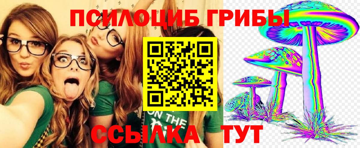 Галлюциногенные грибы Psilocybine cubensis Приморско-Ахтарск